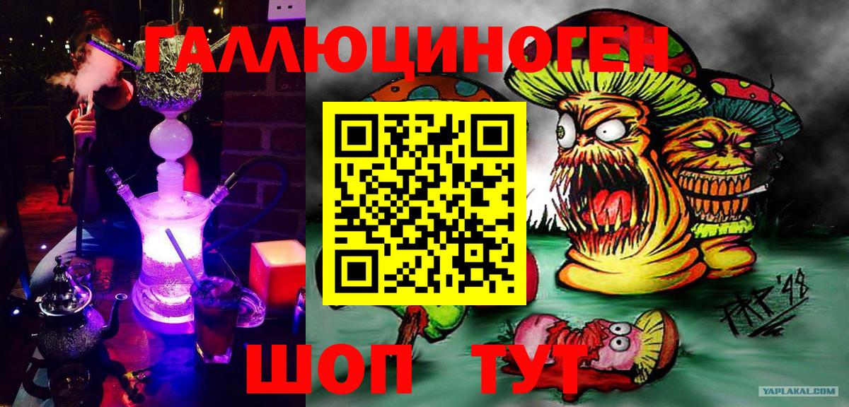 Псилоцибиновые грибы Cubensis Лесозаводск