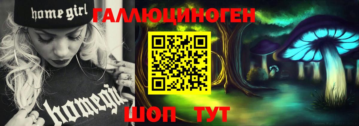 Псилоцибиновые грибы GOLDEN TEACHER  Вход с VPN  Лесозаводск  Галлюциногенные грибы Psilocybe 